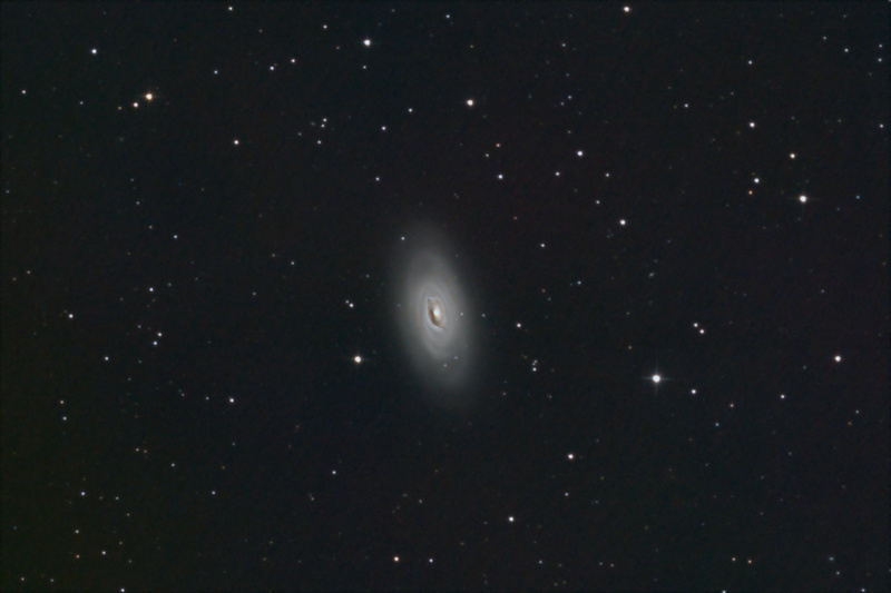 M64